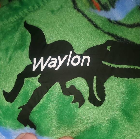 Custom - Picture 4 of 8